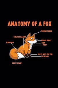 Anatomy of a fox