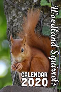 Woodland Squirrels Calendar 2020