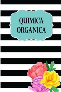 Quimica Organica