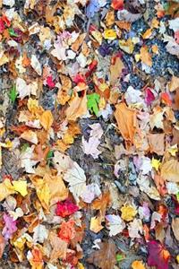 2019 Daily Planner Colorful Autumn Leaves Ground 384 Pages