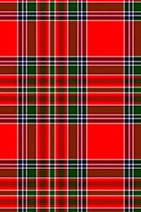 Clan Binning Tartan 100 Page Lined Journal/Notebook