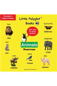 Animals