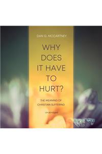 Why Does It Have to Hurt?: The Meaning of Christian Suffering