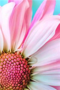 Pink Daisy Notebook
