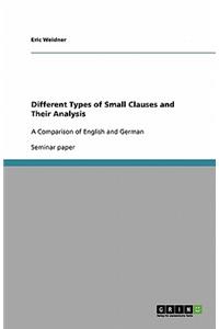 Different Types of Small Clauses and Their Analysis