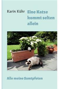 Eine Katze kommt selten allein