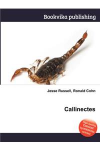 Callinectes