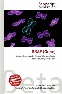 Braf (Gene)