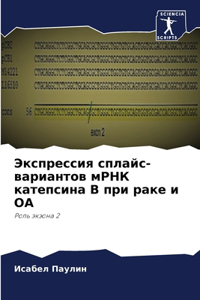 Экспрессия сплайс-вариантов мРНК катепси