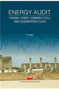 Energy Audit: thermal power, combined cycle, and cogeneration plants