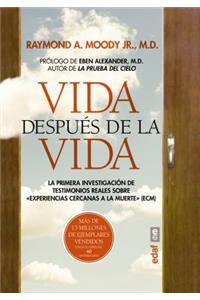 Vida Despues de La Vida