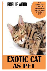 Exotic Cat as Pet