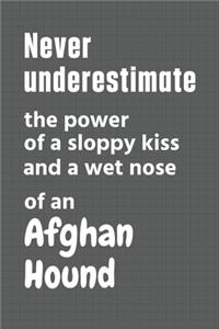 Never underestimate the power of a sloppy kiss and a wet nose of an Afghan Hound