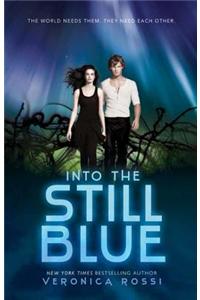Into the Still Blue
