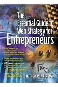 The Essential Guide to Web Strategy for Entrepreneurs