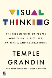 Visual Thinking