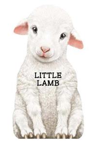 Little Lamb