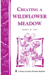 Creating a Wildflower Meadow