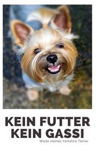 Kein Futter Kein Gassi Worte meines Yorkshire Terrier
