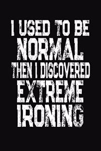 I Used To Be Normal Then I Discovered Extreme Ironing