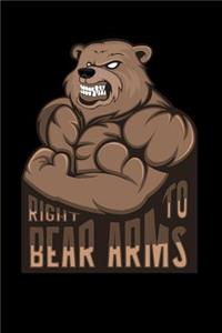 Right to Bear Arms