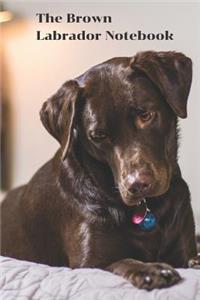 The Brown Labrador Notebook