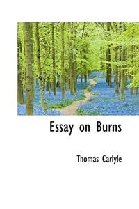 Essay on Burns