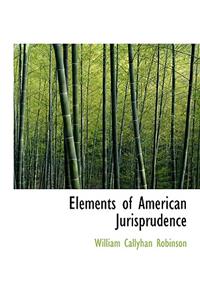 Elements of American Jurisprudence