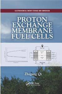 Proton Exchange Membrane Fuel Cells