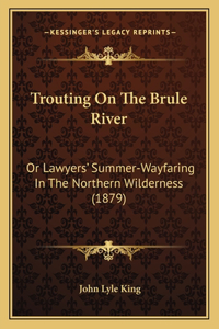 Trouting On The Brule River