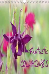 Fantastic Columbines 2016