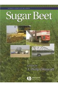 Sugar Beet