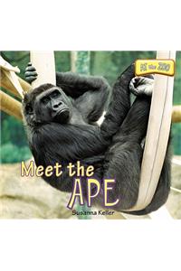 Meet the Ape