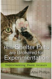 How Shelter Pets are Brokered for Experimentation