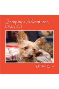 Scrappy's Adventures