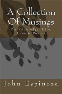 A Collection of Musings
