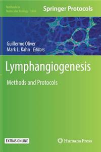 Lymphangiogenesis