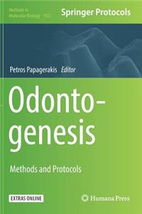 Odontogenesis