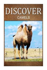 Camels - Discover