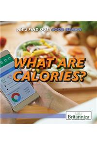 What Are Calories?