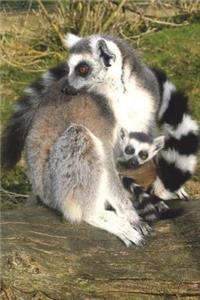 Ring-Tailed Lemur with Baby Journal