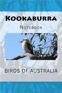 Kookaburra