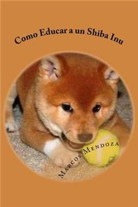 Como Educar a un Shiba Inu