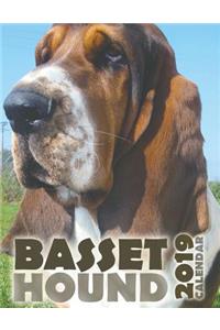 Basset Hound 2019 Calendar