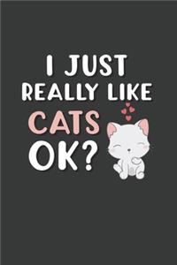 I Just Really Like Cats OK?