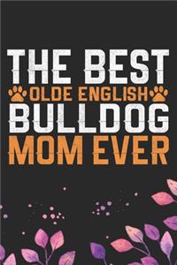 The Best Olde English Bulldog Mom Ever