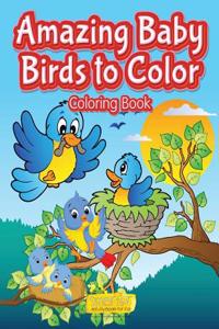 Amazing Baby Birds to Color Coloring Book