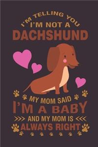 I'm telling you I'm not a dachshund...Mom said I'm a baby