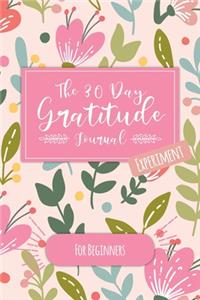 The 30 Day Gratitude Journal Experiment for Beginners