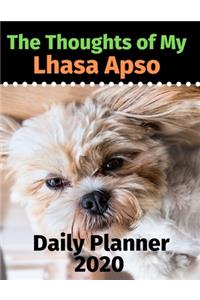 The Thoughts of My Lhasa Apso